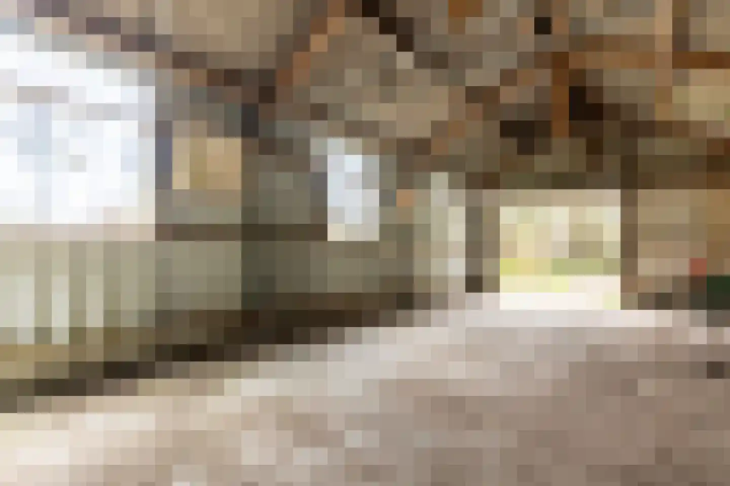 Duindijk 7 Rockanje thumbnail 40