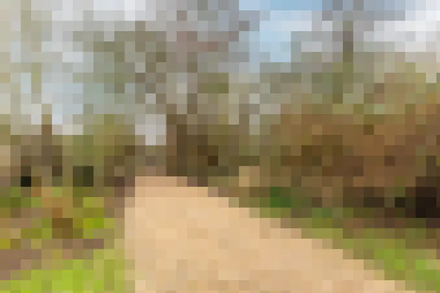 Duindijk 7 Rockanje thumbnail 42