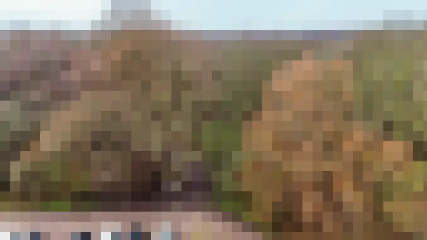 Duindijk 7 Rockanje thumbnail 43