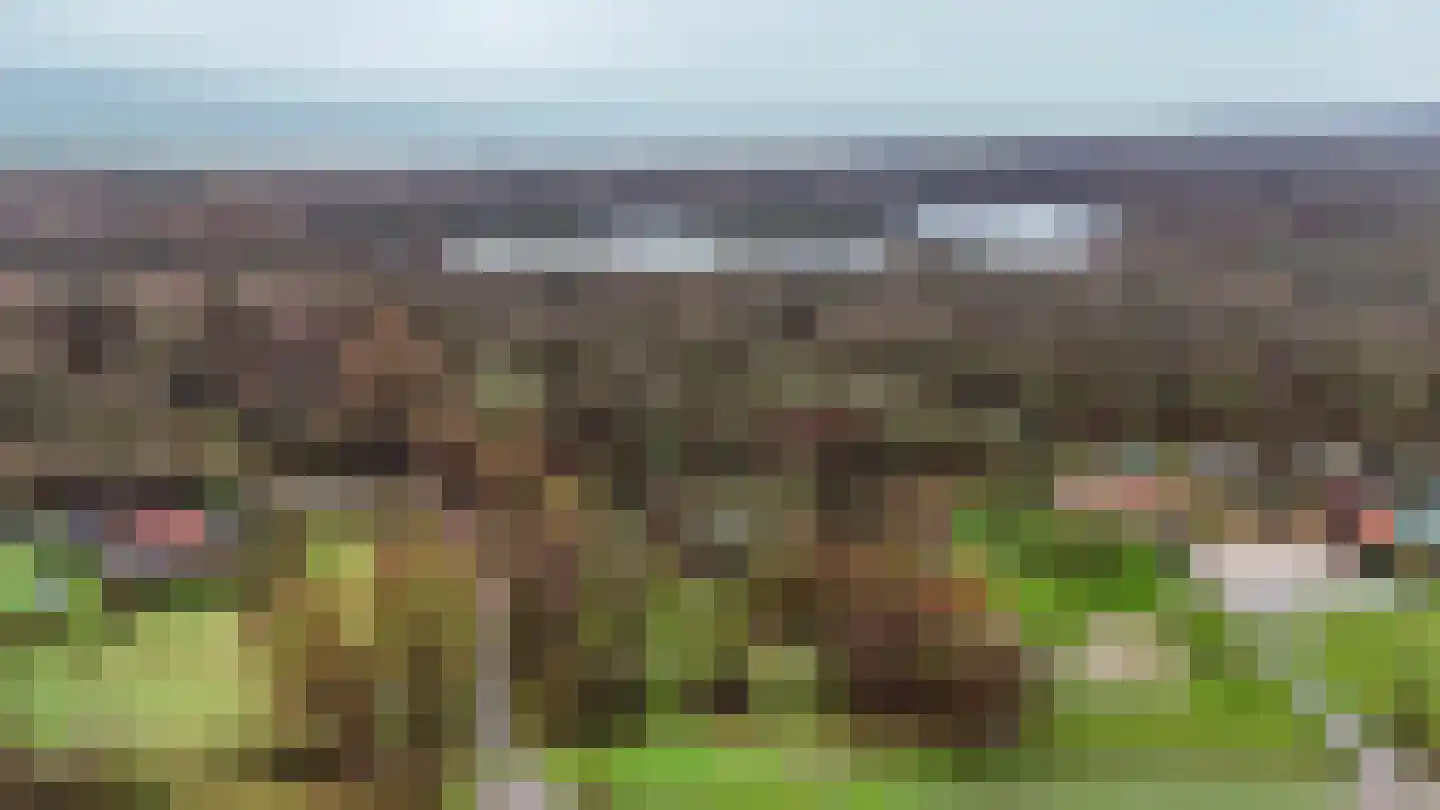 Duindijk 7 Rockanje thumbnail 5