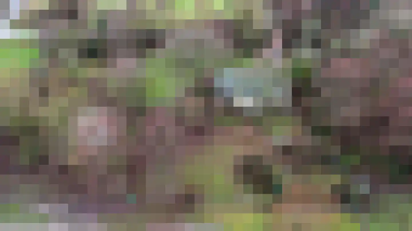 Duindijk 7 Rockanje thumbnail 6