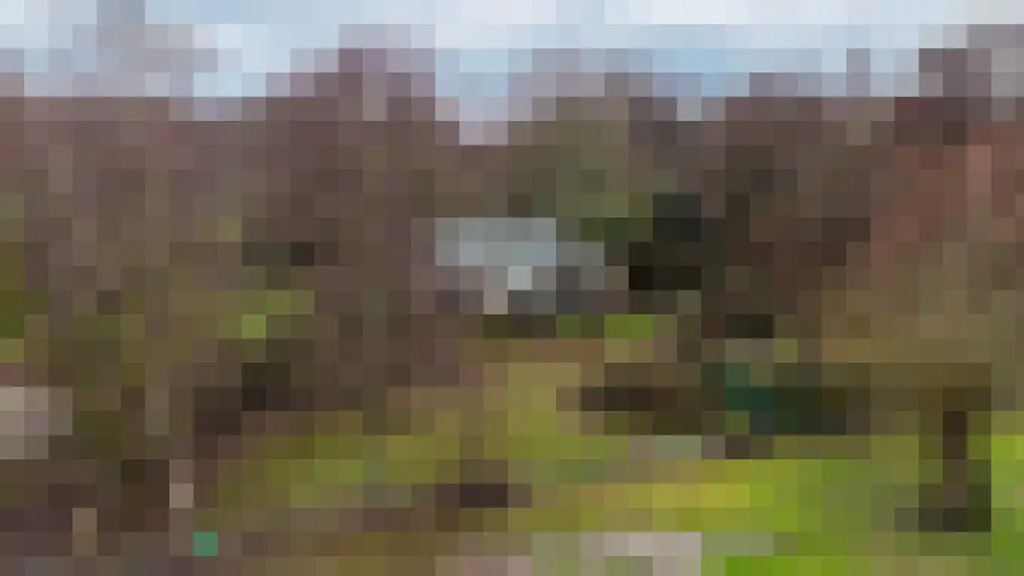 Duindijk 7 Rockanje thumbnail 7