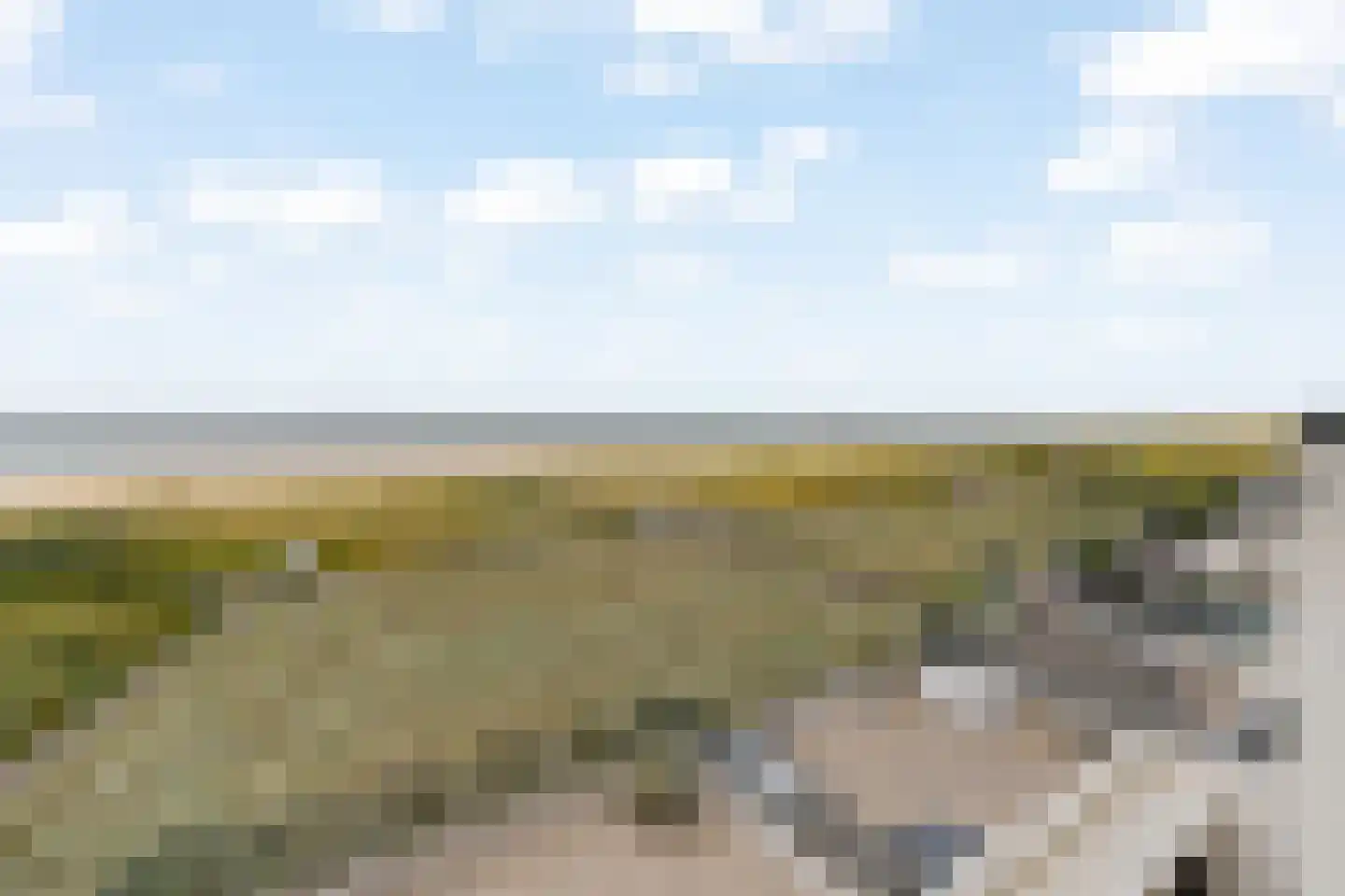 Duindistel 17 Noordwijk thumbnail 11