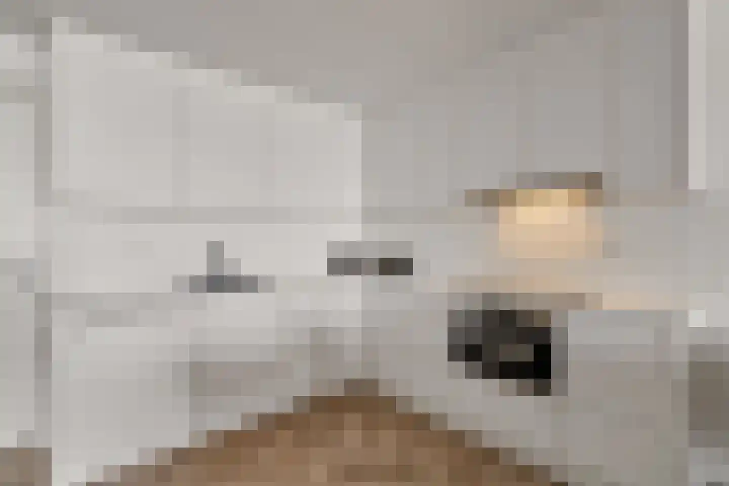 Duindistel 17 Noordwijk thumbnail 16