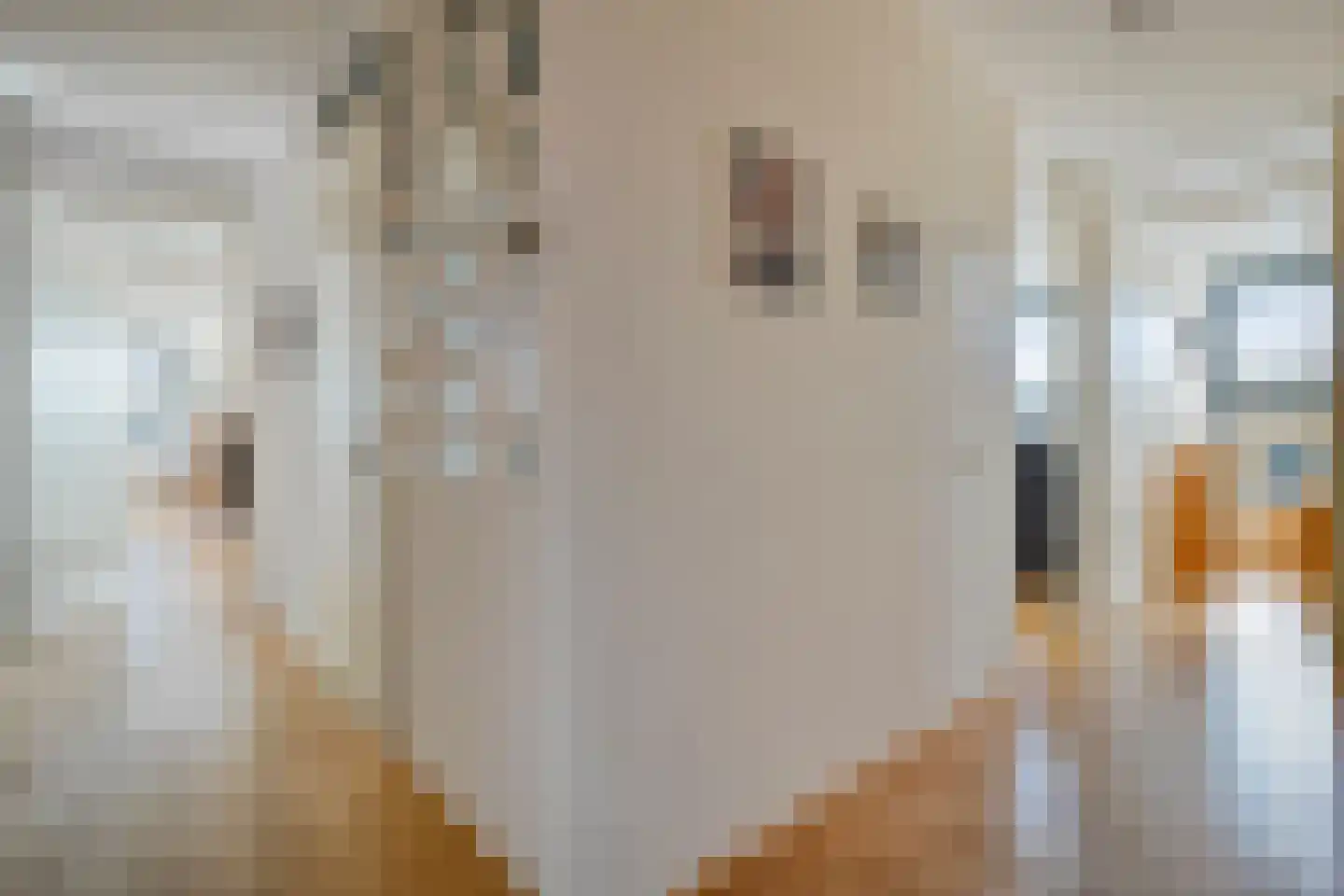 Duindistel 43 Naaldwijk thumbnail 17