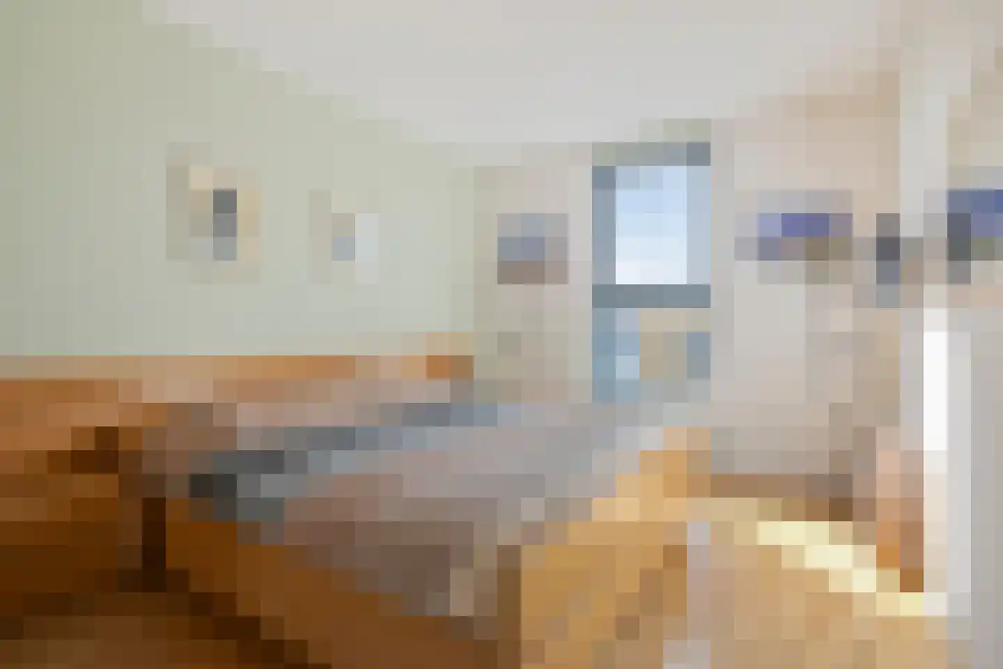 Duindistel 43 Naaldwijk thumbnail 21