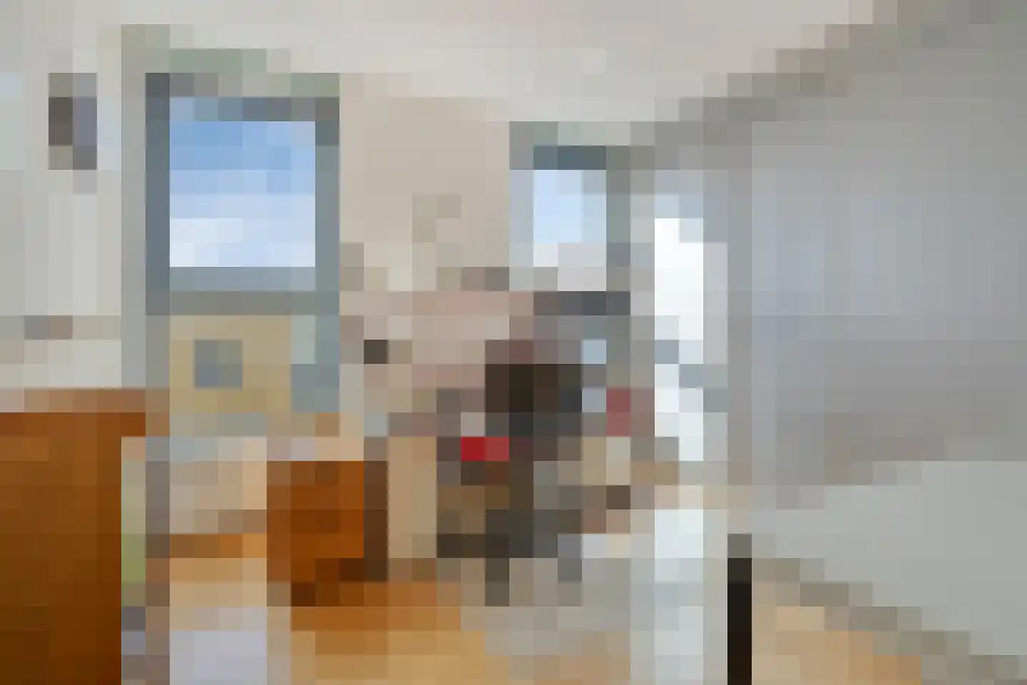 Duindistel 43 Naaldwijk thumbnail 23