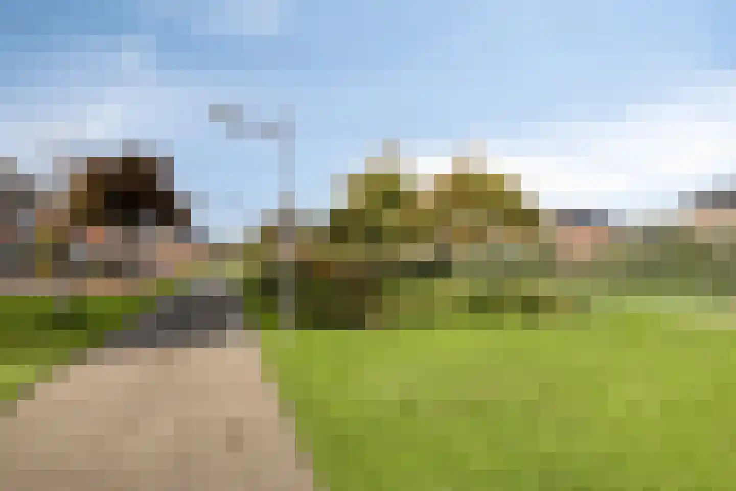Duindistel 43 Naaldwijk thumbnail 39
