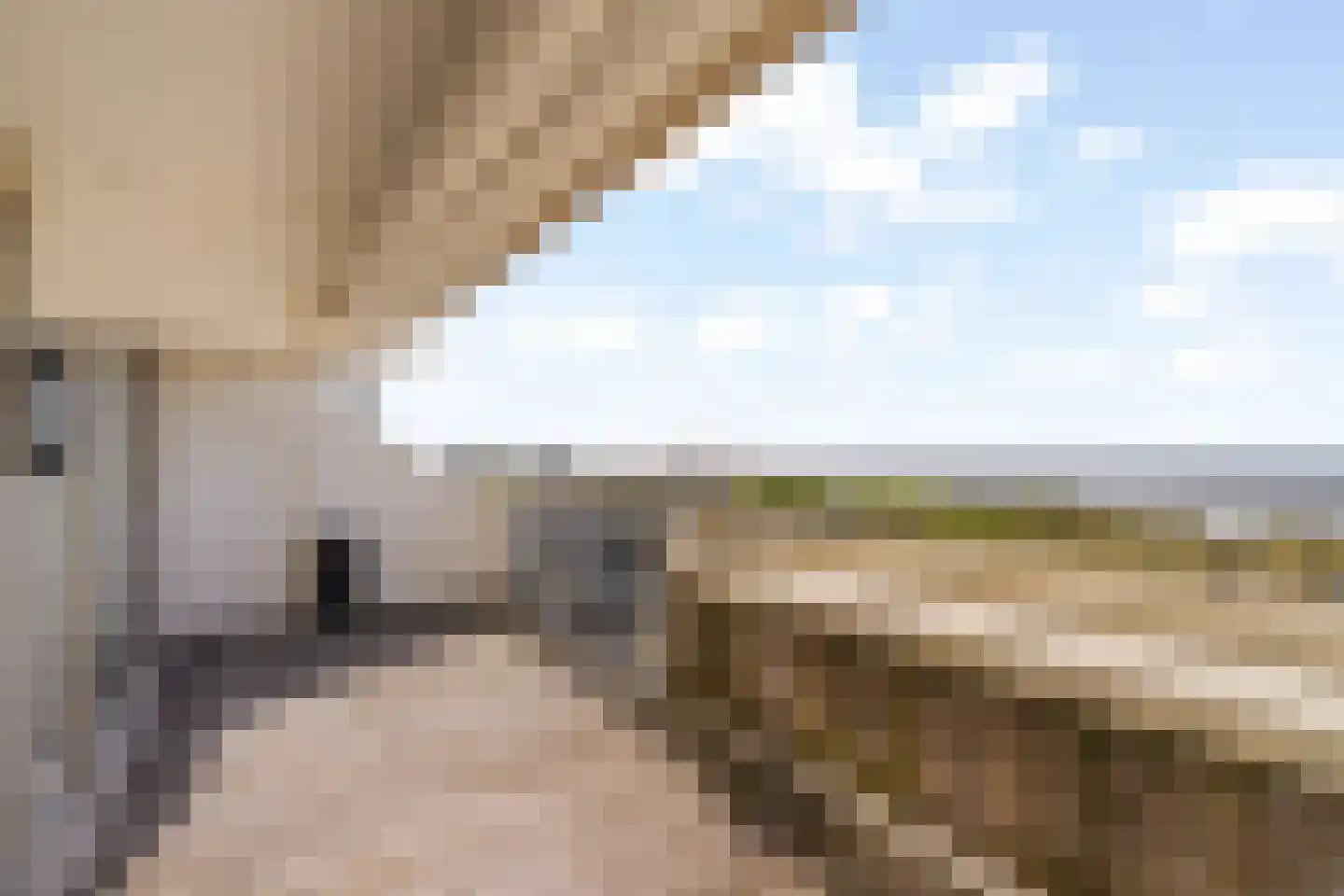 Duindistel 7 Noordwijk thumbnail 10
