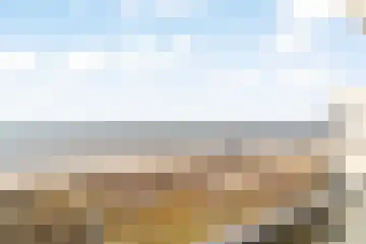 Duindistel 71 Noordwijk thumbnail 11