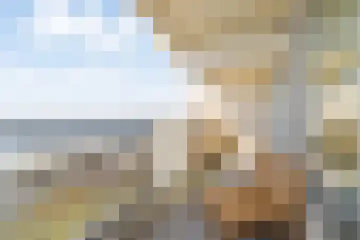 Duindistel 71 Noordwijk thumbnail 13