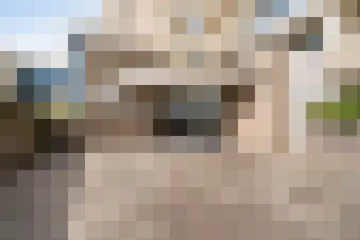 Duindistel 71 Noordwijk thumbnail 4