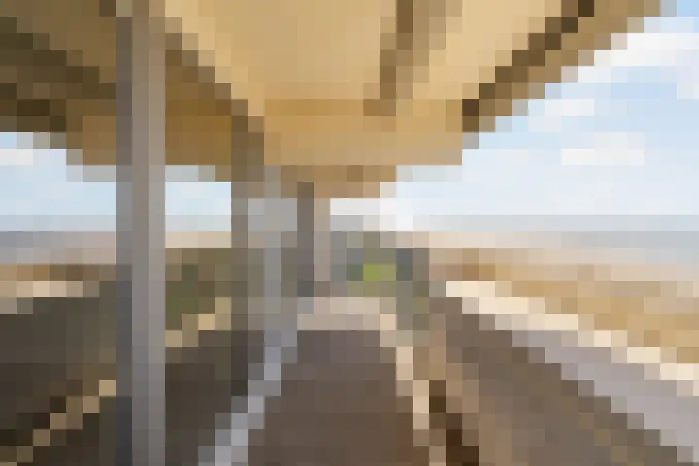 Duindistel 73 Noordwijk thumbnail 8