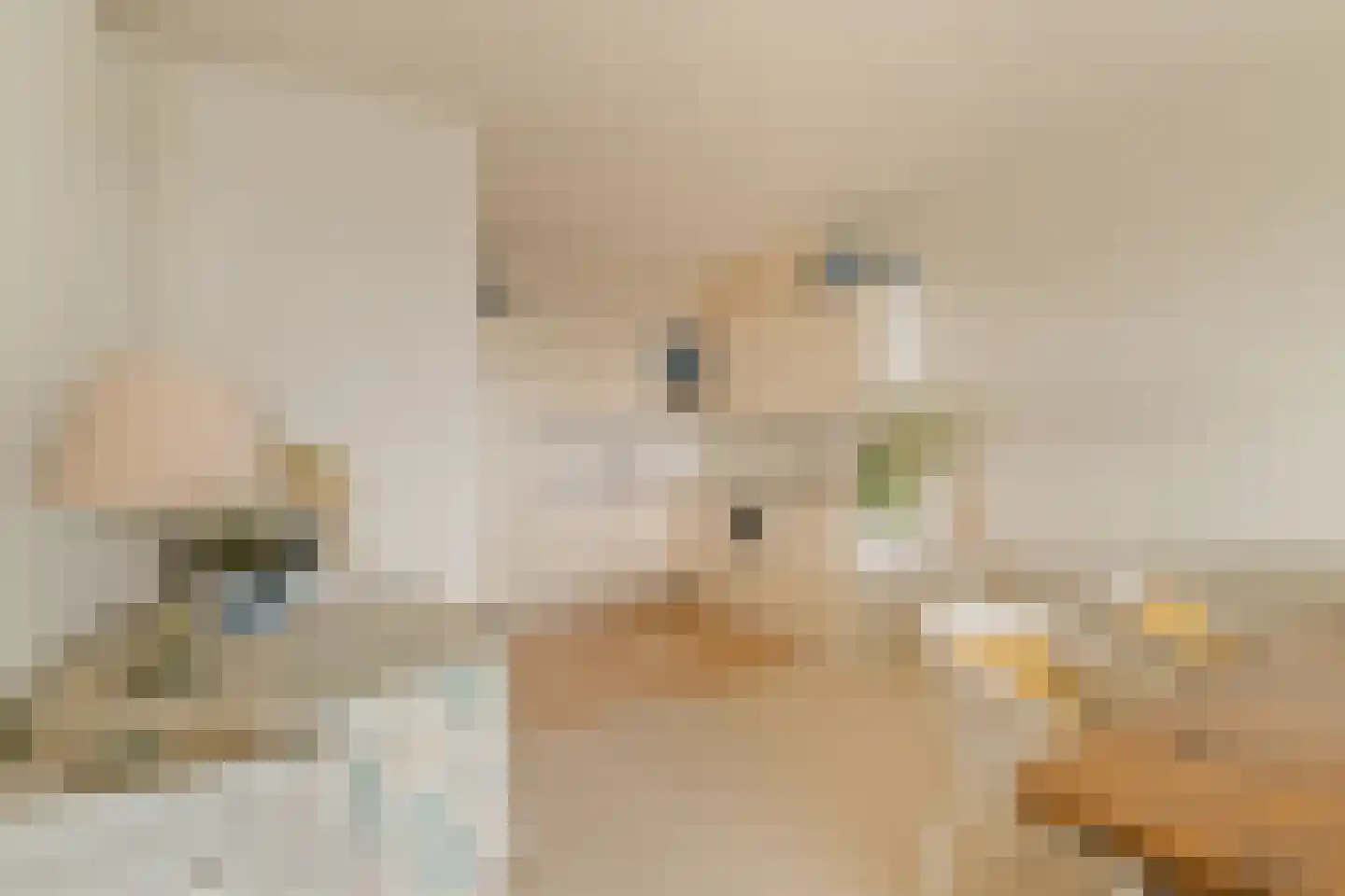 Duindistel 74 Noordwijk thumbnail 13