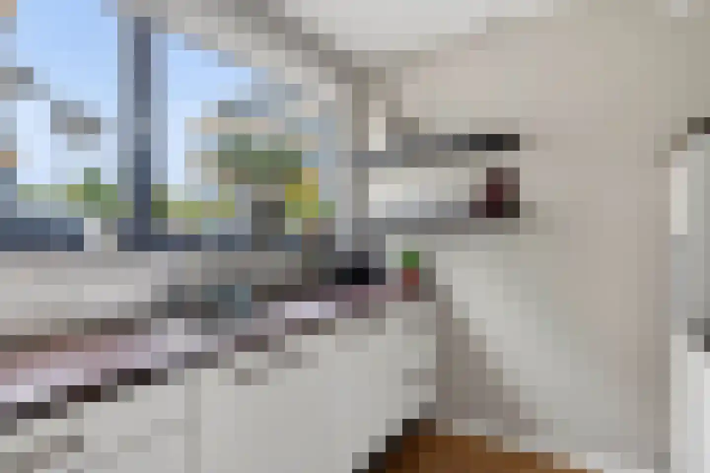 Duindistel 8 Naaldwijk thumbnail 16
