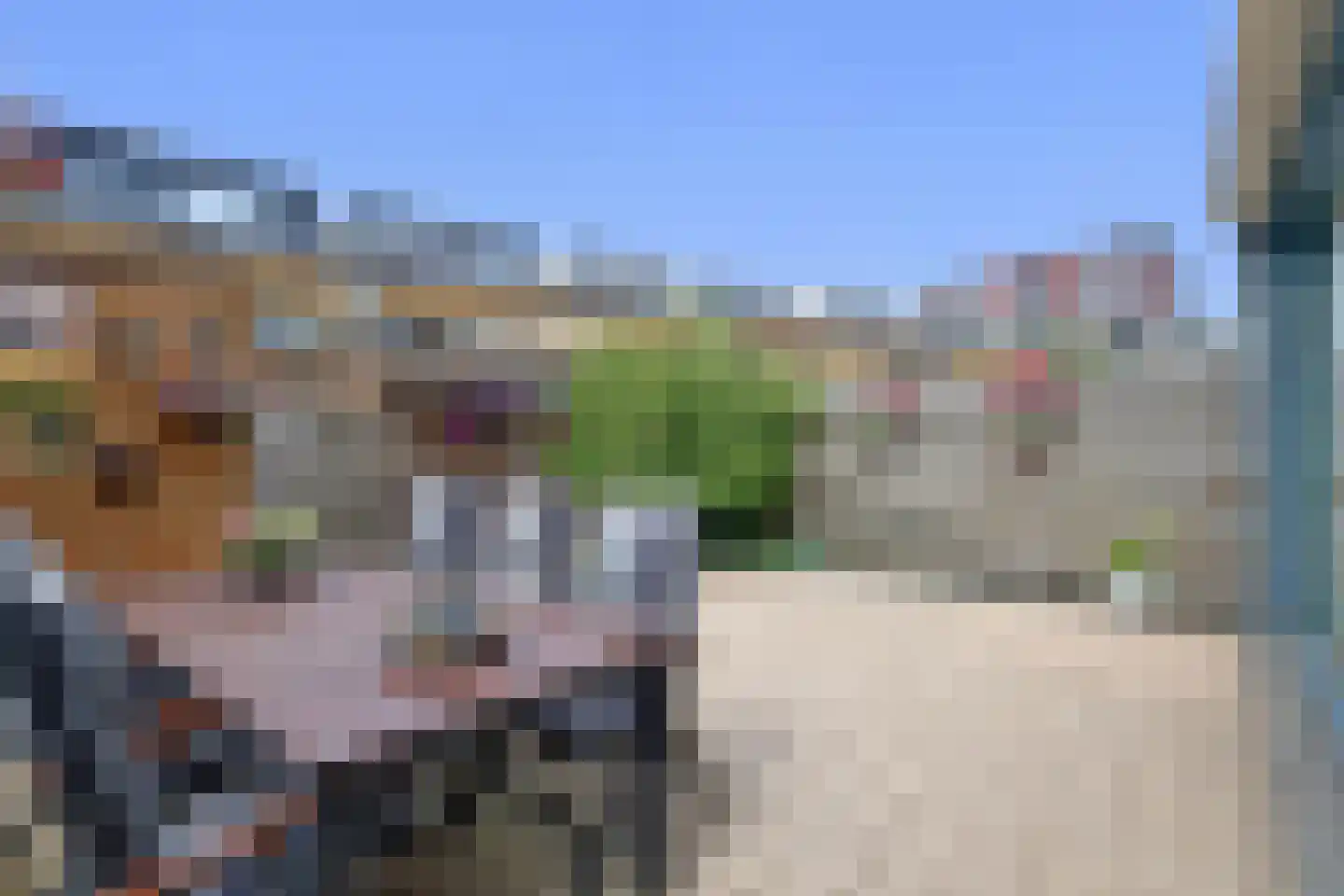 Duindistel 8 Naaldwijk thumbnail 19