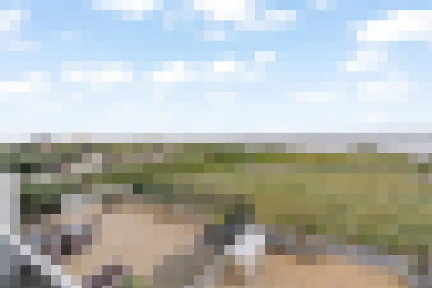 Duindistel 8 Noordwijk thumbnail 11