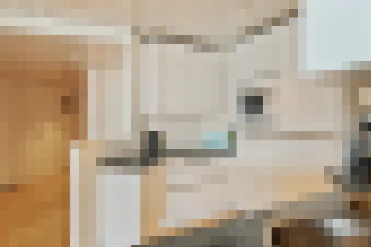 Duindistel 8 Noordwijk thumbnail 18