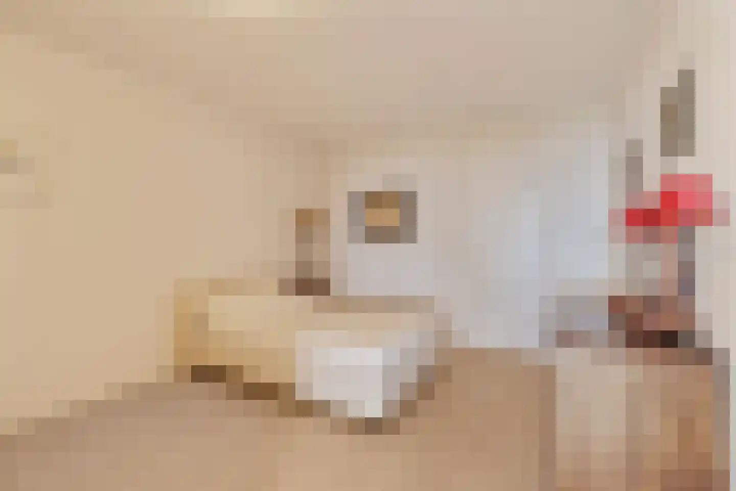 Duindistel 8 Noordwijk thumbnail 21