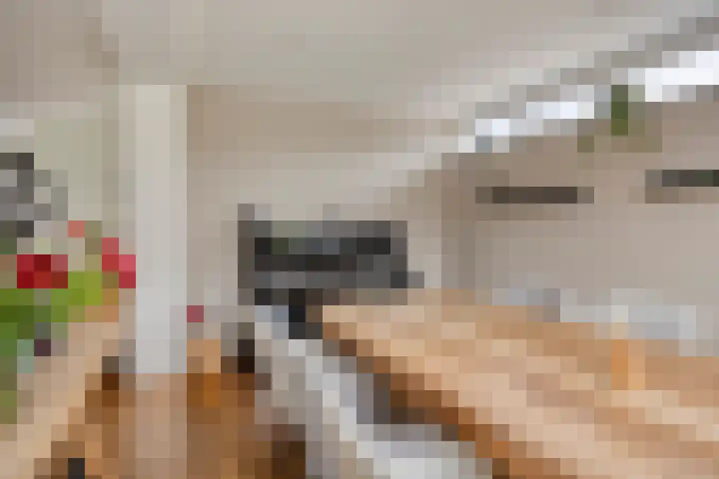 Duindoorn 1 Krimpen aan den IJssel thumbnail 11
