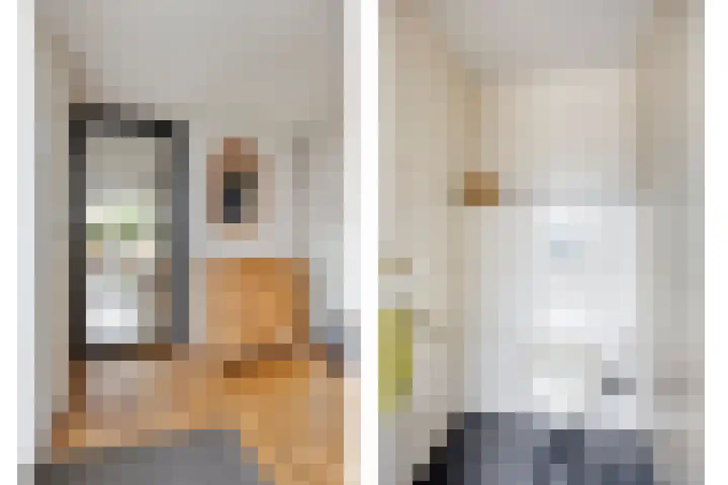 Duindoorn 1 Krimpen aan den IJssel thumbnail 15