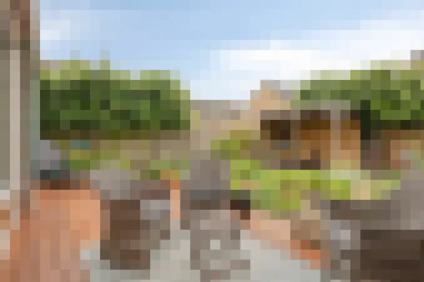 Duindoorn 1 Krimpen aan den IJssel thumbnail 31