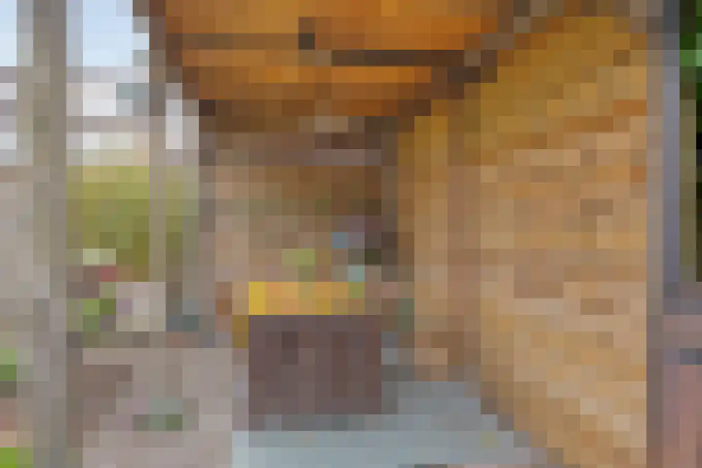Duindoorn 1 Krimpen aan den IJssel thumbnail 33