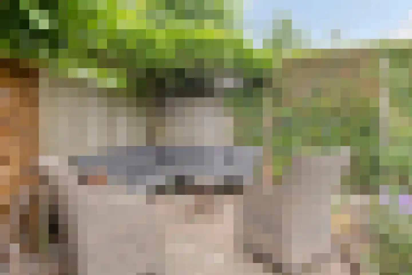 Duindoorn 1 Krimpen aan den IJssel thumbnail 34