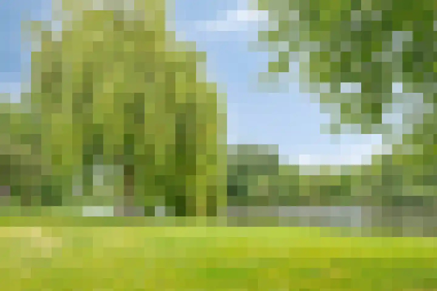 Duindoorn 1 Krimpen aan den IJssel thumbnail 41