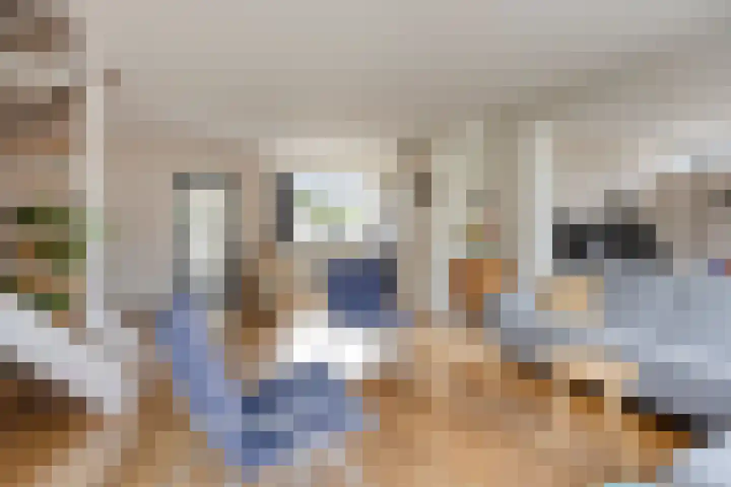 Duindoorn 1 Krimpen aan den IJssel thumbnail 9