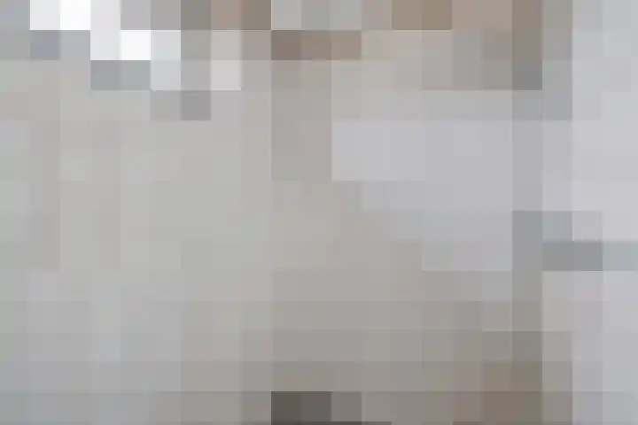 Duindoorn 11 Emmen thumbnail 12