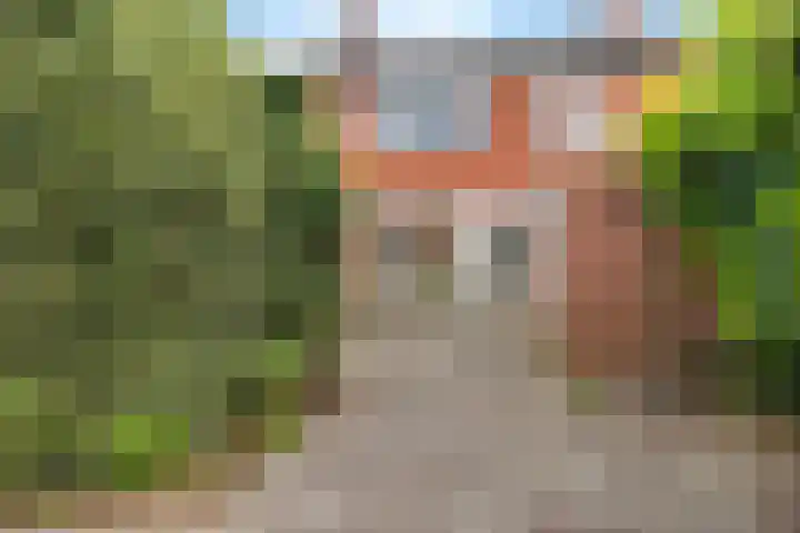 Duindoorn 11 Emmen thumbnail 19