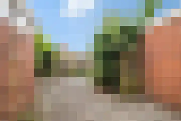 Duindoorn 11 Emmen thumbnail 20