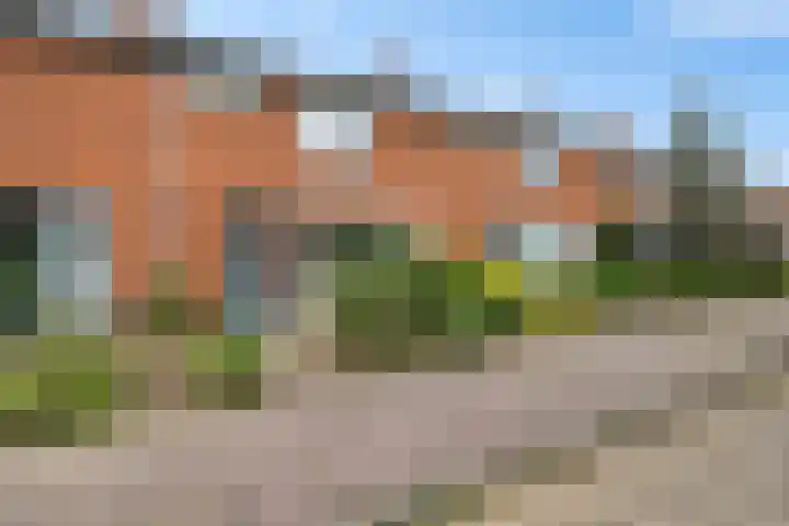 Duindoorn 11 Emmen thumbnail 21