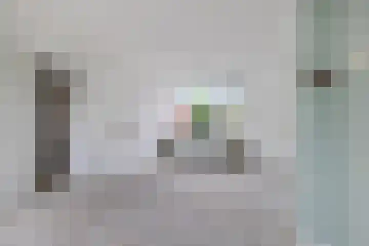 Duindoorn 11 Emmen thumbnail 4