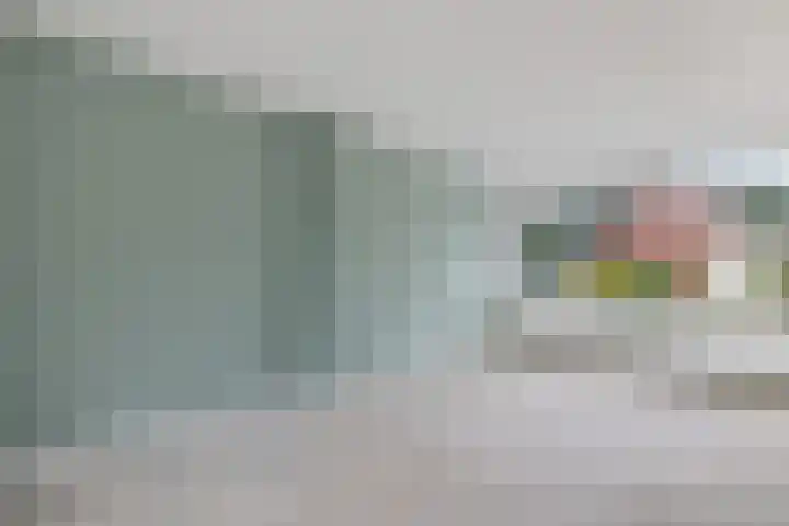 Duindoorn 11 Emmen thumbnail 6