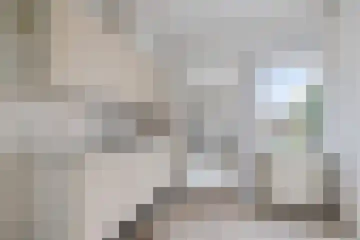 Duindoorn 11 Emmen thumbnail 7