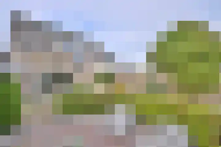 Duindoorn 18 Deventer thumbnail 30