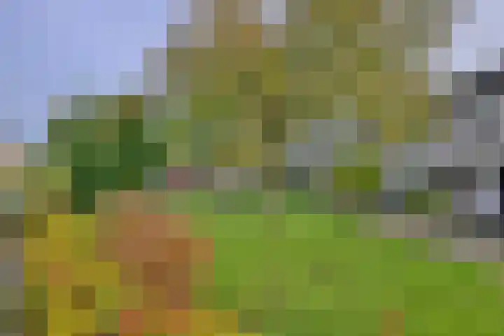 Duindoorn 18 Deventer thumbnail 33