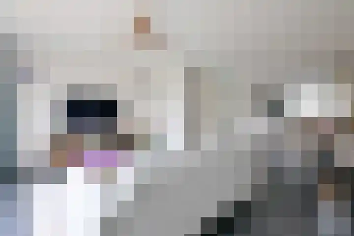 Duindoorn 18 Deventer thumbnail 6