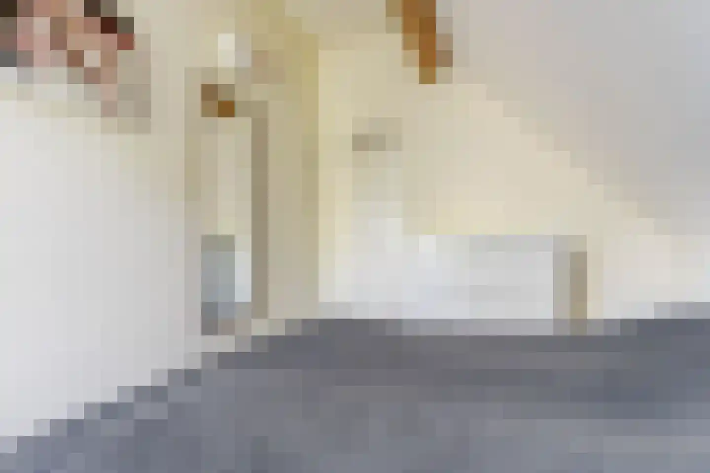 Duindoorn 19 Kamperland thumbnail 15