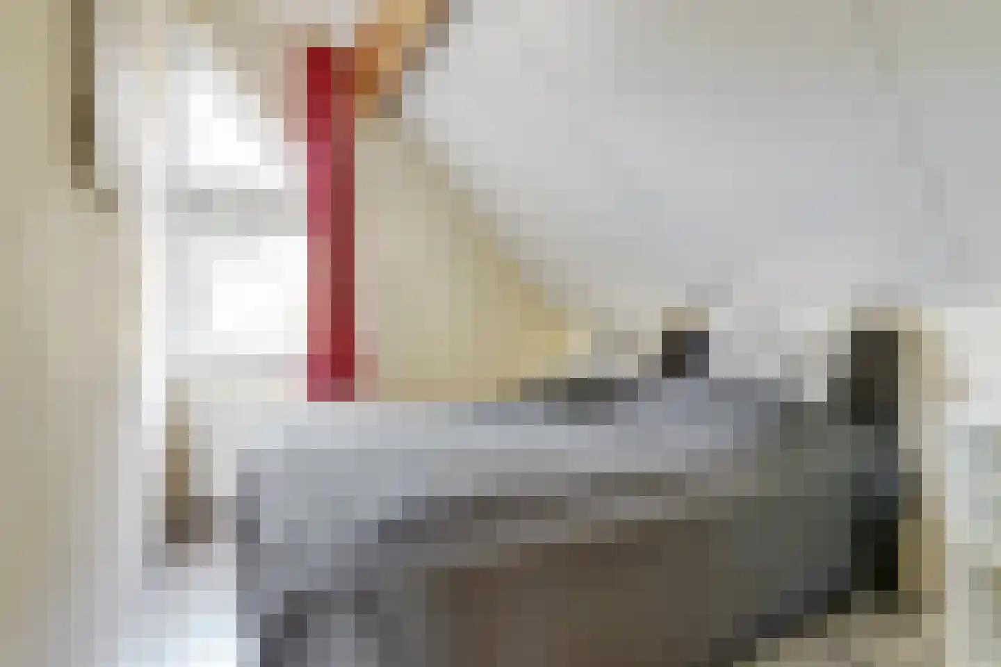 Duindoorn 19 Kamperland thumbnail 16