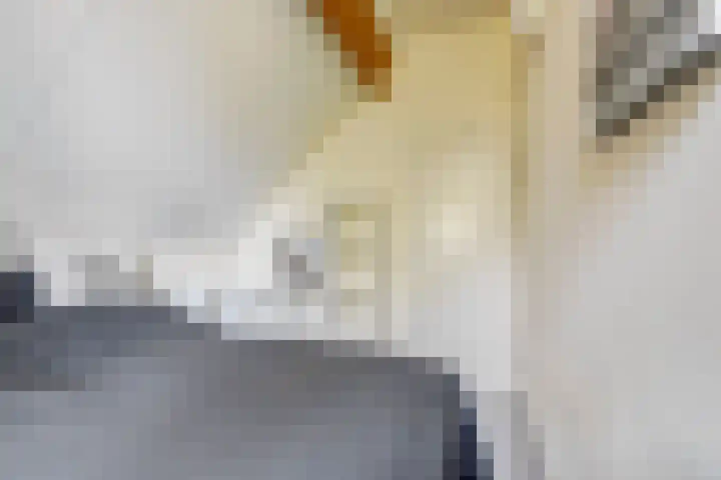 Duindoorn 19 Kamperland thumbnail 17