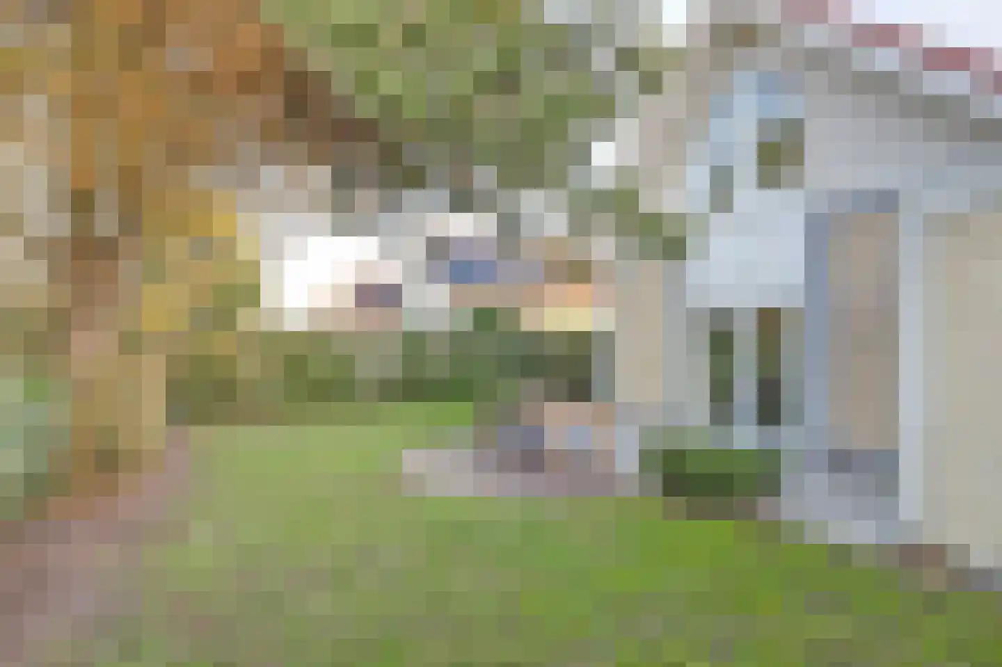 Duindoorn 19 Kamperland thumbnail 22