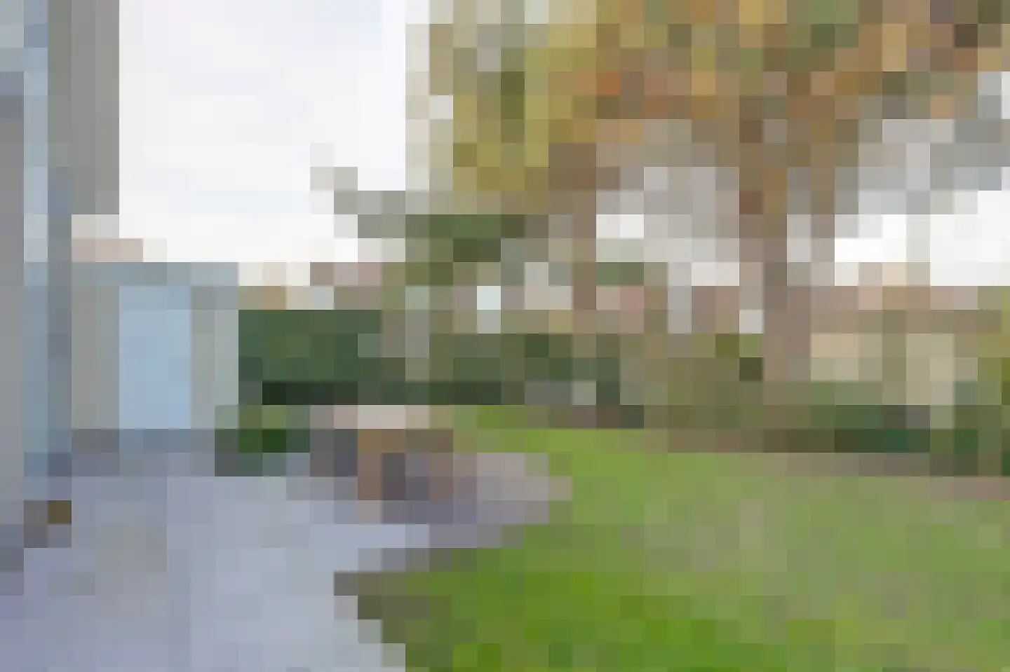 Duindoorn 19 Kamperland thumbnail 23