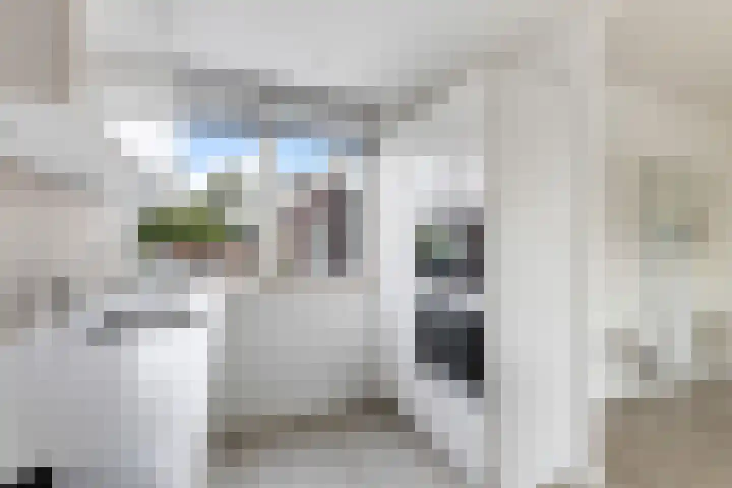 Duindoorn 22 Krimpen aan den IJssel thumbnail 13