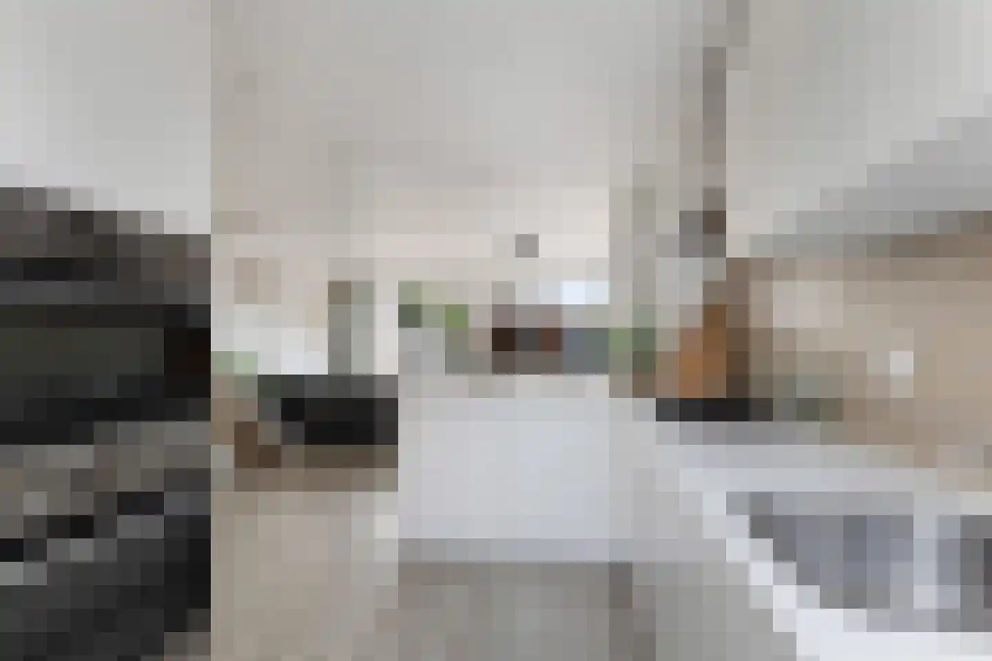 Duindoorn 22 Krimpen aan den IJssel thumbnail 14