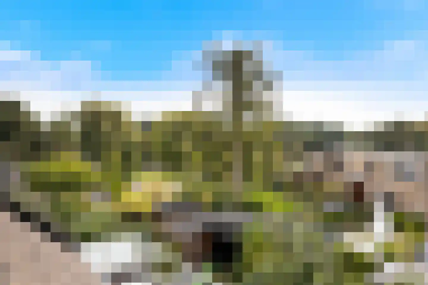 Duindoorn 22 Krimpen aan den IJssel thumbnail 27