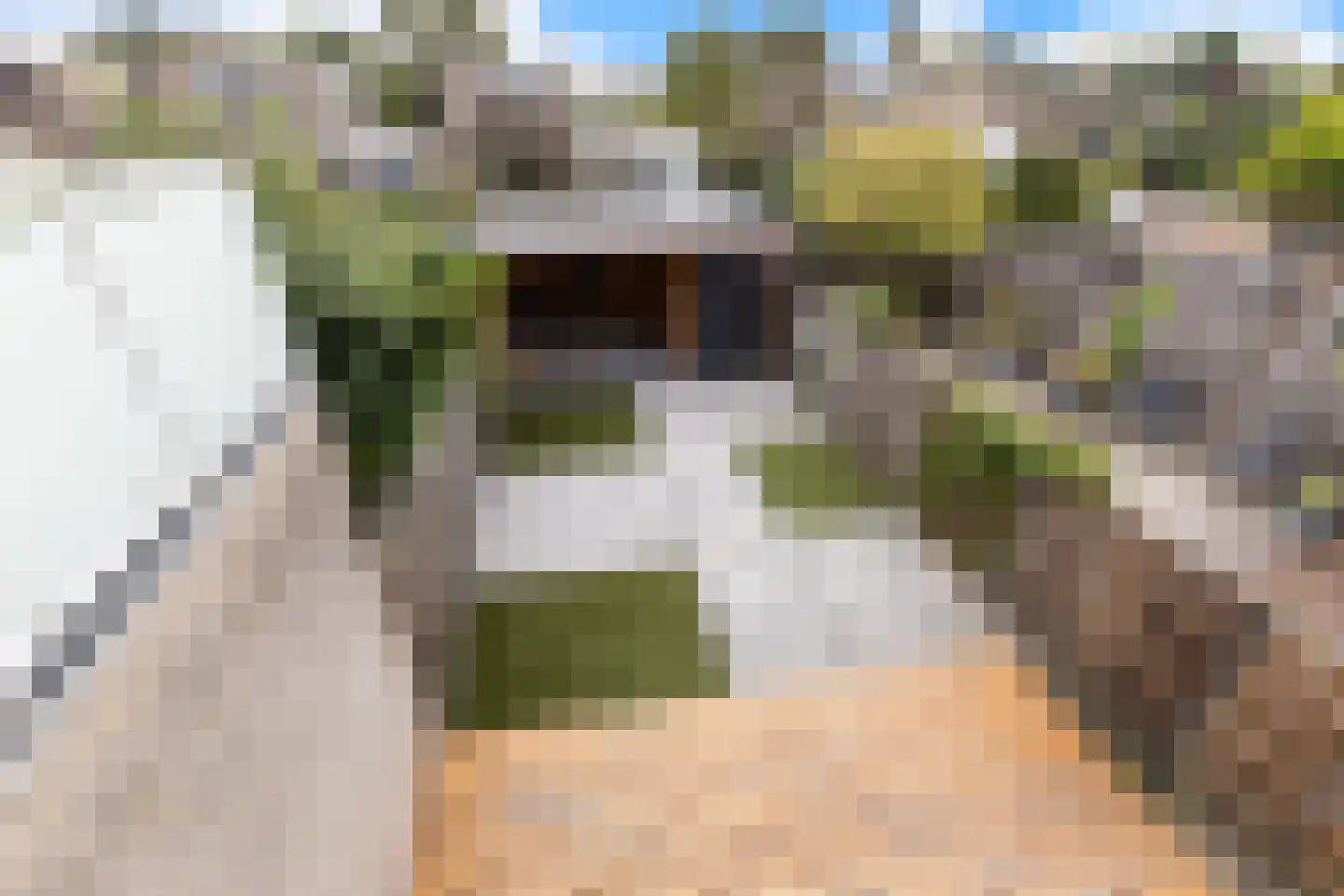 Duindoorn 22 Krimpen aan den IJssel thumbnail 34