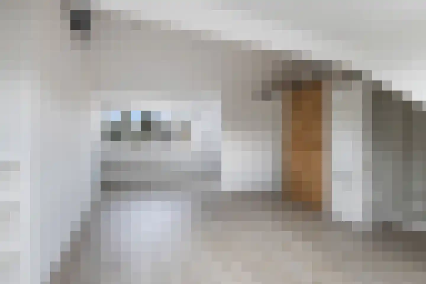 Duindoorn 22 Krimpen aan den IJssel thumbnail 35
